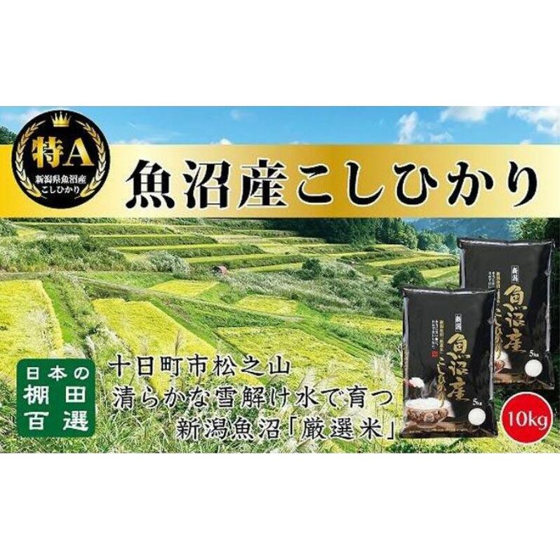 日本棚田百選のお米 天空の里・魚沼産こしひかり 10kg(5kg×2) 白米 安心 安全 こだわり 新潟県十日町市26000米・パン白米