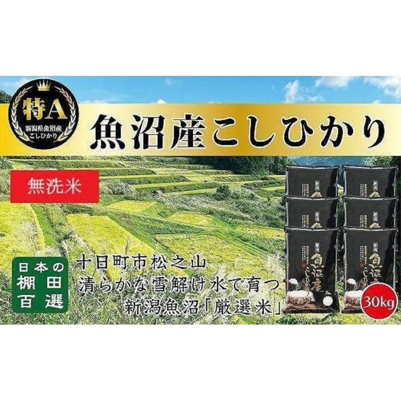 日本棚田百選のお米《無洗米》天空の里・魚沼産こしひかり 30kg(5kg×6) 白米 安心 安全 こだわり 新潟県十日町市84000米・パン白米