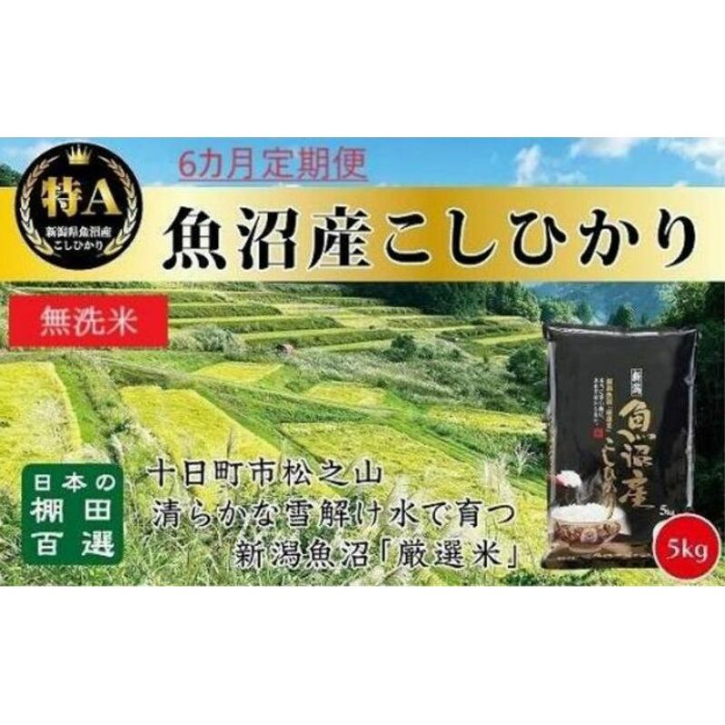 無洗米「6カ月定期便」日本棚田百選のお米 天空の里・魚沼産こしひかり 5kg×6回 白米 安心 安全 こだわり 新潟県十日町市84000米・パン無洗米