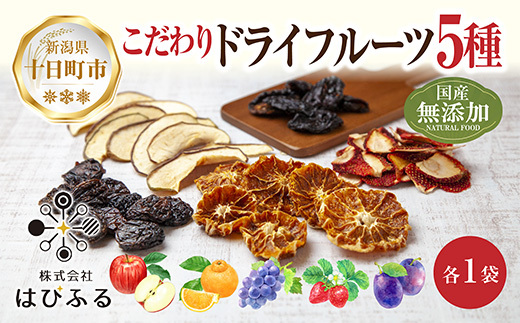 ドライフルーツ 5種(りんご プルーン デコポン いちご ぶどう)/リンゴ 苺 無添加 砂糖不使用 国産フルーツ 果物 保存食 ダイエット ギフト グルメ お取り寄せ はぴふる 新潟県 十日町市 新