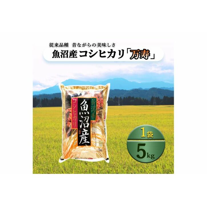 【先行予約】数量限定 従来品種 魚沼産コシヒカリ 精米 5kg 令和7年度米<令和7年11月上旬〜発送予定> 新潟県十日町市21000米・パン白米
