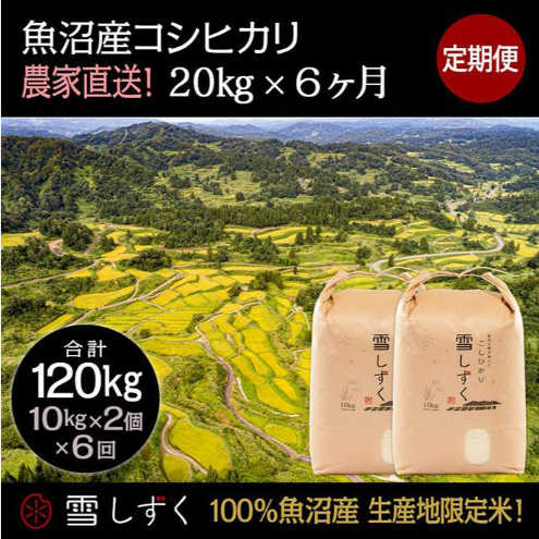【令和7年産】定期便!魚沼産コシヒカリ【合計120kg】毎月20kg×6回 お米 ブランド米 銘柄米 精米 白米 ご飯 おにぎり お弁当 和食 産地直送 新潟県十日町市402000米・パン白米