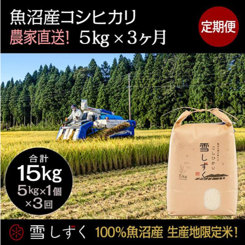 【令和7年産】定期便!魚沼産コシヒカリ【合計15kg】毎月5kg×3回 お米 ブランド米 銘柄米 精米 白米 ご飯 おにぎり お弁当 和食 産地直送 新潟県十日町市63000米・パン白米
