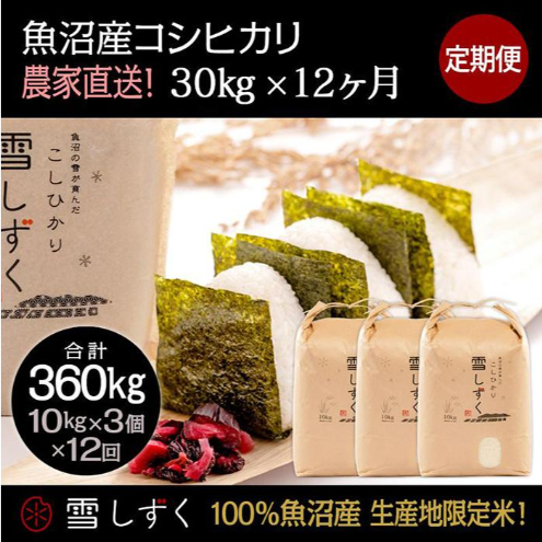 【令和7年産】定期便!魚沼産コシヒカリ【合計360kg】毎月30kg×12回 お米 ブランド米 銘柄米 精米 白米 ご飯 おにぎり お弁当 和食 産地直送 新潟県十日町市1177000米・パン白米