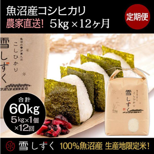 【令和7年産】定期便!魚沼産コシヒカリ【合計60kg】毎月5kg×12回 お米 ブランド米 銘柄米 精米 白米 ご飯 おにぎり お弁当 和食 産地直送 新潟県十日町市222000米・パン白米