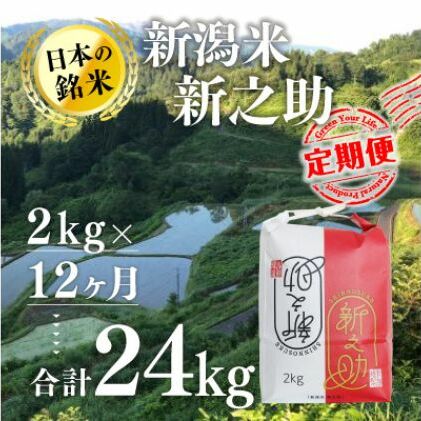 【12カ月定期便】新潟米新之助(精米)2kg お米 コメ 新潟県十日町市80000米・パン白米