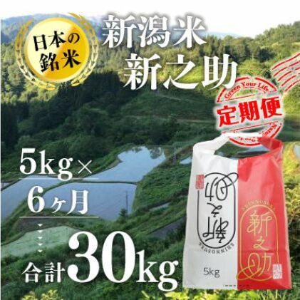 【6カ月定期便】新潟米新之助(精米)5kg お米 コメ 新潟県十日町市100000米・パン白米