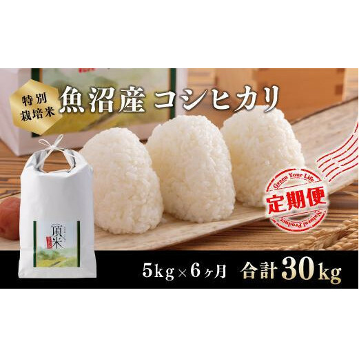 UJցyʍ͔|āzċq YRVqJiāj5kg  R V\s150000āEp