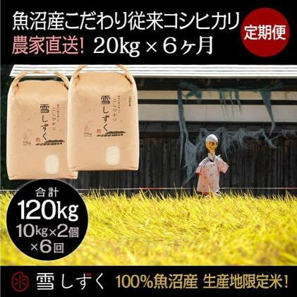 【令和7年産】定期便!魚沼産こだわり従来コシヒカリ【合計120kg】毎月20kg×6回 ブランド米 銘柄米 白米 精米 ご飯 おにぎり お弁当 新潟県十日町市515000米・パン白米