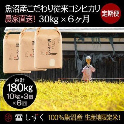 【令和7年産】定期便!魚沼産こだわり従来コシヒカリ【合計180kg】毎月30kg×6回 ブランド米 銘柄米 白米 精米 ご飯 おにぎり お弁当 新潟県十日町市769000米・パン白米