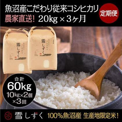 【令和7年産】定期便!魚沼産こだわり従来コシヒカリ【合計60kg】毎月20kg×3回 ブランド米 銘柄米 白米 精米 ご飯 おにぎり お弁当 新潟県十日町市261000米・パン白米