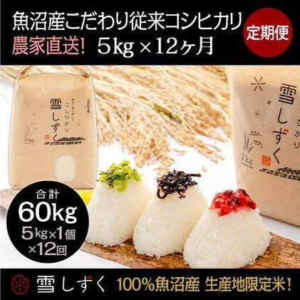 【令和7年産】定期便!魚沼産こだわり従来コシヒカリ【合計60kg】毎月5kg×12回 ブランド米 銘柄米 白米 精米 ご飯 おにぎり お弁当 新潟県十日町市287000米・パン白米