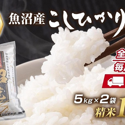【定期便】新潟県 魚沼産 コシヒカリ お米 10kg×計6回 精米済み 半年間 毎月発送 こしひかり (お米の美味しい炊き方ガイド付き) ご飯 ブランド米 銘柄米 新潟県十日町市300000米・パン白米