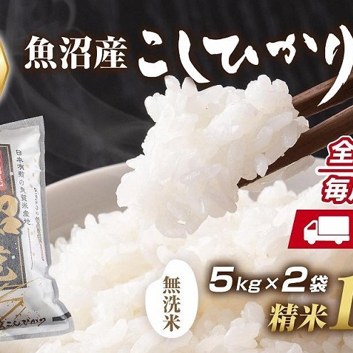 【定期便】|無洗米| 新潟県 魚沼産 コシヒカリ お米 10kg×計6回 精米済み 半年間 毎月発送 こしひかり (お米の美味しい炊き方ガイド付き) ご飯 ブランド米 銘柄米 新潟県十日町市300000米