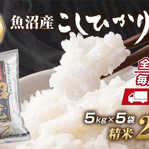 【定期便】 新潟県 魚沼産 コシヒカリ お米 25kg×計6回 精米済み 半年間 毎月発送 こしひかり(お米の美味しい炊き方ガイド付き) ご飯 ブランド米 銘柄米 新潟県十日町市750000米・パン白米