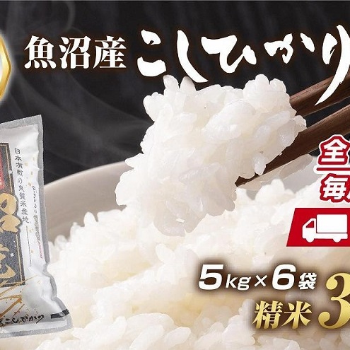 【定期便】 新潟県 魚沼産 コシヒカリ お米 30kg×計12回 精米済み 年間 毎月発送 こしひかり(お米の美味しい炊き方ガイド付き) ご飯 ブランド米 銘柄米 新潟県十日町市1800000米・パン白米
