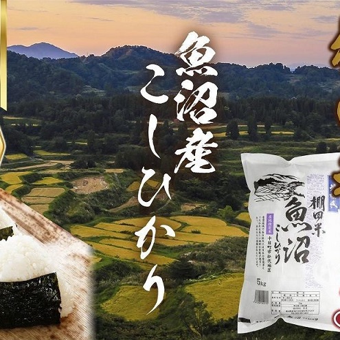 棚田米 魚沼産 コシヒカリ 5kg 新潟県 十日町市 松代地区 限定 棚田 こしひかり (お米屋秘伝!美味しいご飯の炊き方ガイド付き) 精米 ブランド米 銘柄米 新潟県十日町市15000米・パン白米