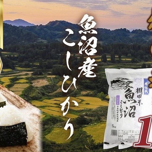 【無地熨斗】 棚田米 魚沼産 コシヒカリ 10kg 新潟県 十日町市 松代地区 限定 棚田 こしひかり (お米屋秘伝!美味しいご飯の炊き方ガイド付き) 精米 ブランド米 銘柄米 新潟県十日町市29000