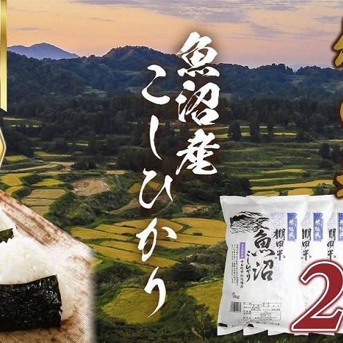 棚田米 魚沼産 コシヒカリ 20kg 新潟県 十日町市 松代地区 限定 棚田 こしひかり (お米屋秘伝!美味しいご飯の炊き方ガイド付き) 精米 ブランド米 銘柄米 新潟県十日町市58000米・パン白米
