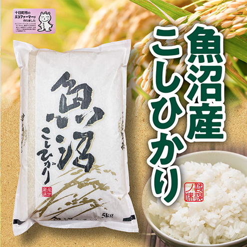 米 2025年産 十日町産こしひかり 精米10kg コシヒカリ コメ 十日町市 新潟県十日町市45000米・パン白米