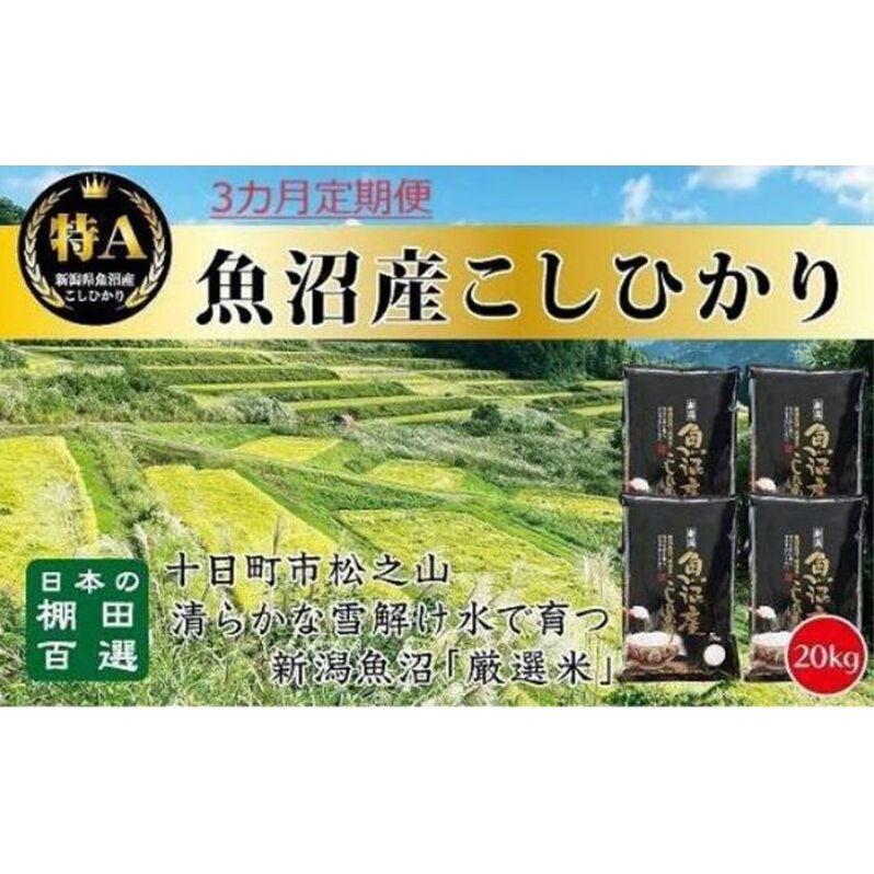 【令和7年産新米予約】【食味鑑定士厳選】3カ月 定期便 日本棚田百選のお米 天空の里 魚沼産 こしひかり 20kg(5kg×4)×3回 米 お米 コメ新潟県十日町市240000米・パン白米