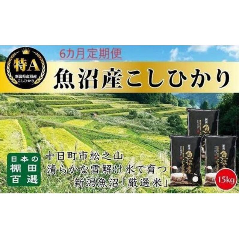 【令和7年産新米予約】【食味鑑定士厳選】6カ月 定期便 日本棚田百選のお米 天空の里 魚沼産 こしひかり 15kg(5kg×3)×6回 米 お米 コメ新潟県十日町市360000米・パン白米