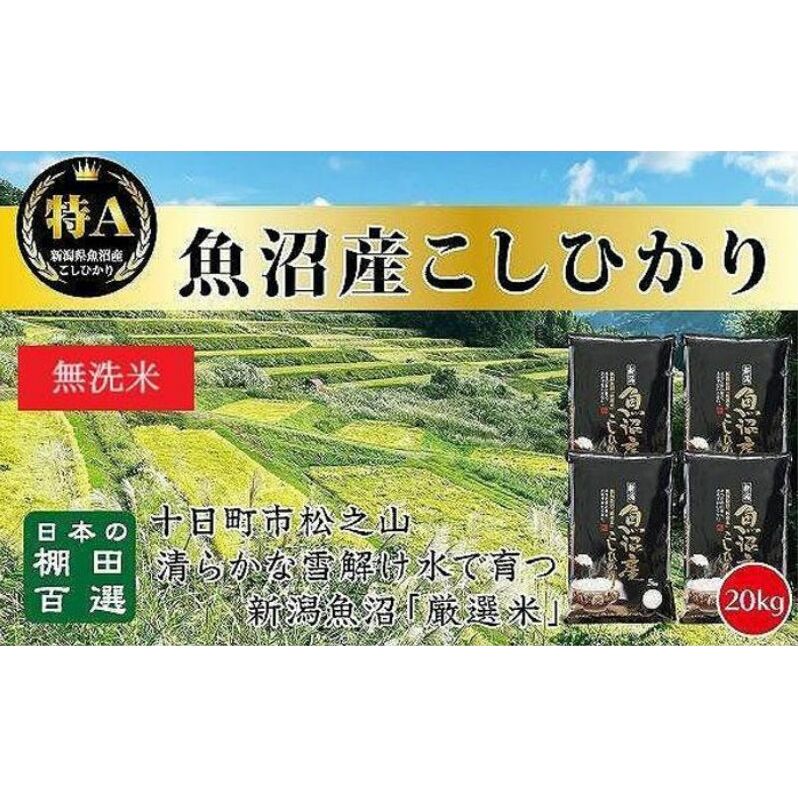 【令和7年産新米予約】【食味鑑定士厳選】日本棚田百選のお米 無洗米 天空の里 魚沼産 こしひかり 20kg(5kg×4)新潟県十日町市84000米・パン無洗米