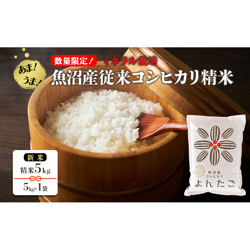 【数量限定!】あま!うま!ミネラル栽培の魚沼産従来コシヒカリ精米5kg【新米】(5kg×1袋)新潟県十日町市12000米・パン白米
