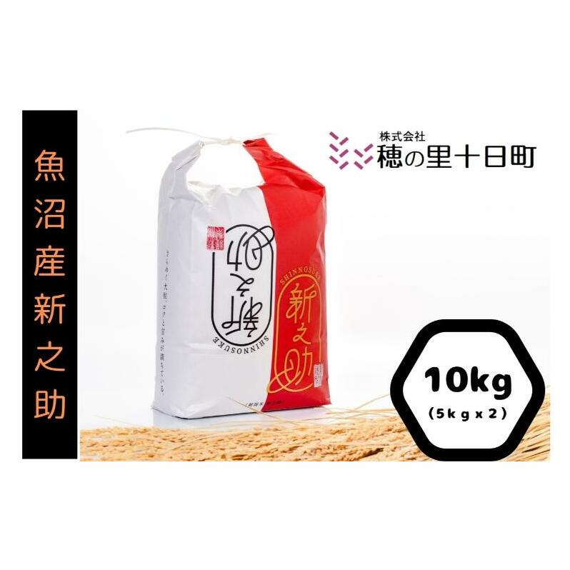 令和7年産【10月発送開始!】魚沼産 新之助 精米 10kg(5kgx2袋)新潟県十日町市36000米・パン白米