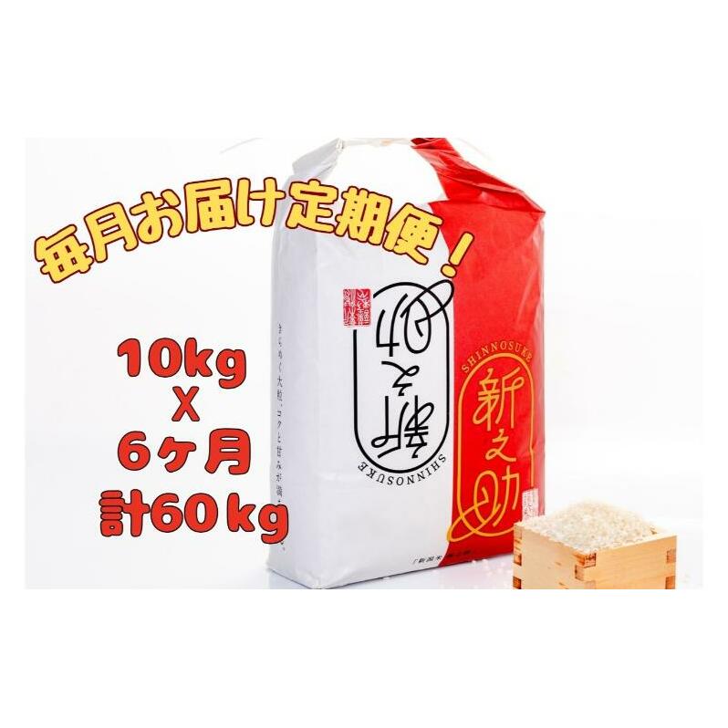 【通年受付】令和7年産【10月発送開始!】魚沼産新之助 精米10kg(5kgx2袋)全6回 十日町市 十日町 米新潟県十日町市212000米・パン白米