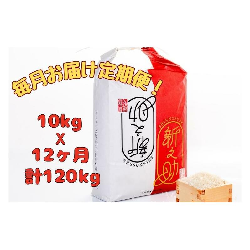 【通年受付】令和7年産【10月発送開始!】魚沼産新之助 精米10kg(5kgx2袋)全12回 十日町市 十日町 米新潟県十日町市424000米・パン白米