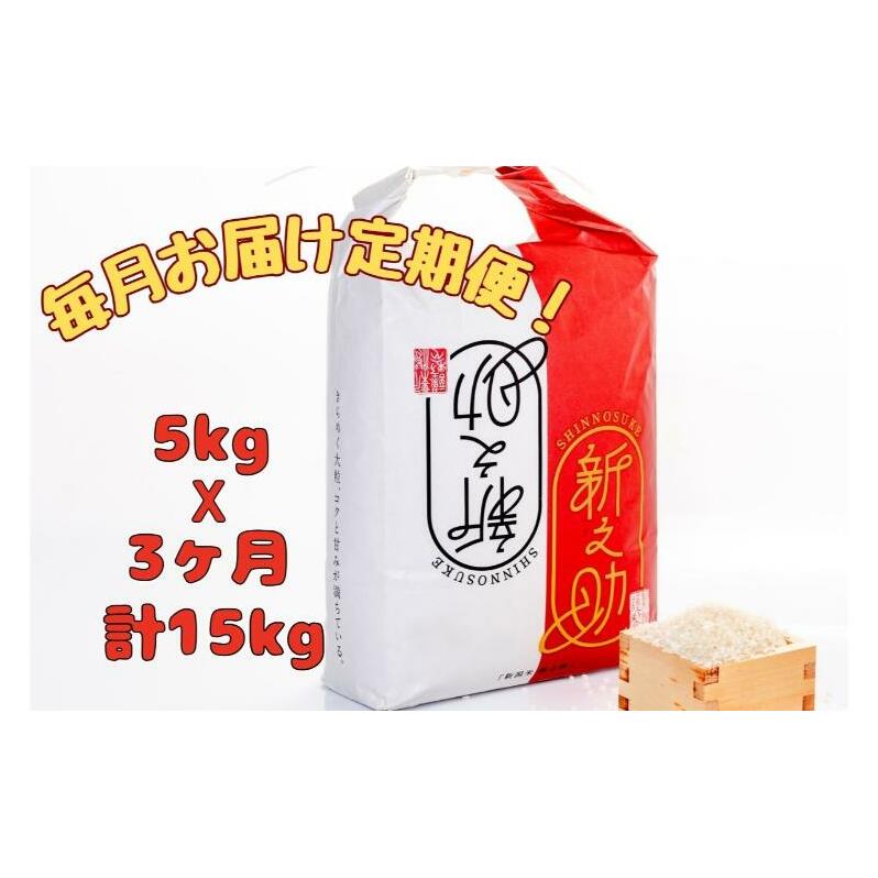【通年受付】令和7年産【10月発送開始!】魚沼産新之助 精米5kg 全3回 十日町市 十日町 米新潟県十日町市57000米・パン白米