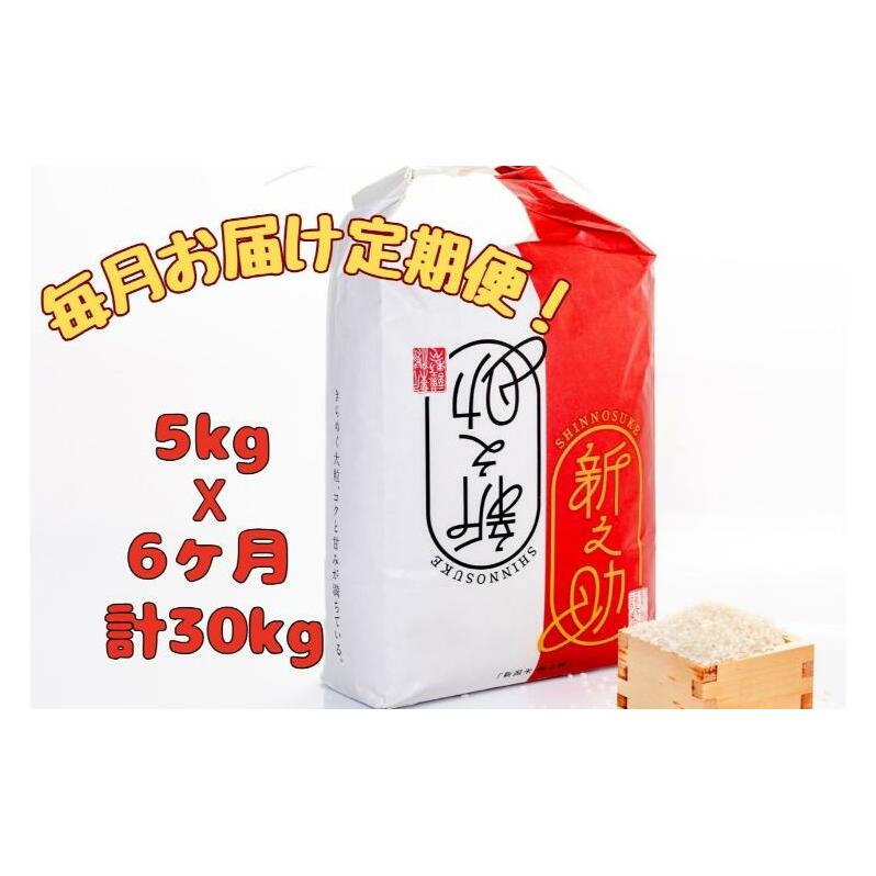 【通年受付】令和7年産【10月発送開始!】魚沼産新之助 精米5kg 全6回 十日町市 十日町 米新潟県十日町市113000米・パン白米
