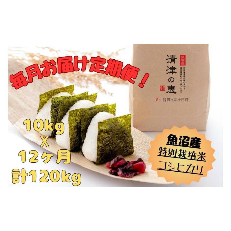 yʔNtzߘaVNYyPOJnIzYʍ͔|ăRVqJmÂ̌bn10kgi5kgxQ܁jS12 \s \ ĐV\s424000āEp