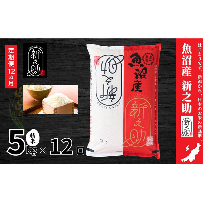 【定期便】魚沼産新之助(精米)5kg 全12回 米 お米 精米 しんのすけ 中魚沼 定期 新潟県 十日町市新潟県十日町市190000米・パン白米