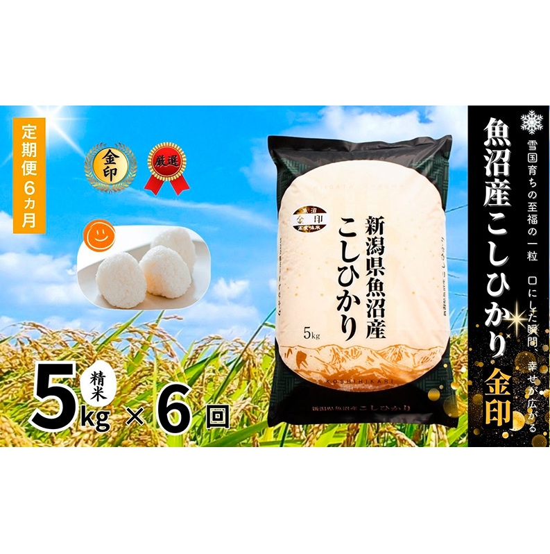 【定期便】魚沼産コシヒカリ金印(精米)5kg 全6回 米 お米 こしひかり 精米 中魚沼 定期 新潟県 十日町市新潟県十日町市93000米・パン白米