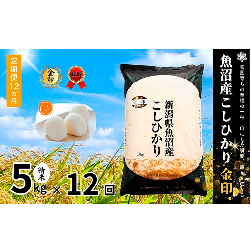 【定期便】魚沼産コシヒカリ金印(精米)5kg 全12回 米 お米 こしひかり 精米 中魚沼 定期 新潟県 十日町市新潟県十日町市190000米・パン白米
