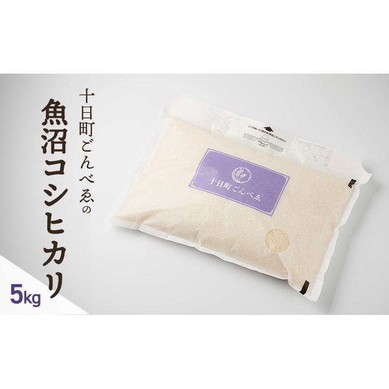米 十日町ごんべゑの魚沼コシヒカリ(5kg) こしひかり お米 コメ 魚沼 白米 精米 お取り寄せ 新潟県 十日町市新潟県十日町市19000米・パン白米