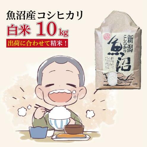 令和7年産新米 魚沼産コシヒカリ【精米】10kg新潟県十日町市40000米・パン白米