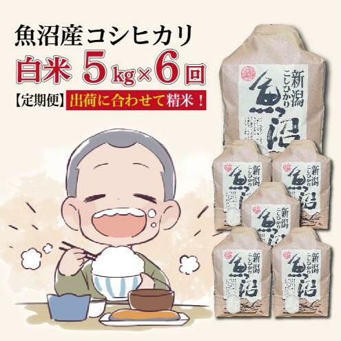 【6カ月定期便】令和7年産新米 魚沼産コシヒカリ 精米 5kg×6回 計30kg新潟県十日町市118000米・パン白米