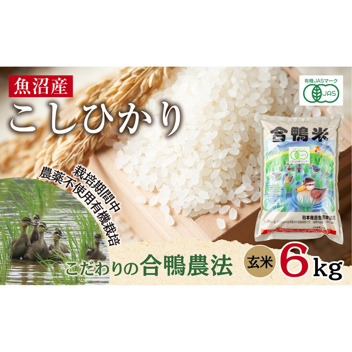 魚沼産 コシヒカリ 6kg あいがも農法 有機栽培米 玄米 米 お米 ご飯 胚芽 合鴨 ごんべい こしひかり 特A 人気 安全 お取り寄せ  新潟県 十日町市新潟県十日町市47000米・パン白米