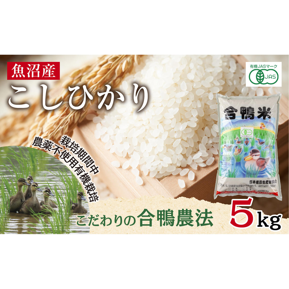 魚沼産 コシヒカリ 5kg あいがも農法 有機栽培米 精米 米 お米 ご飯 白米 合鴨 ごんべい こしひかり 特A 人気 安全 お取り寄せ  新潟県 十日町市新潟県十日町市34000米・パン白米