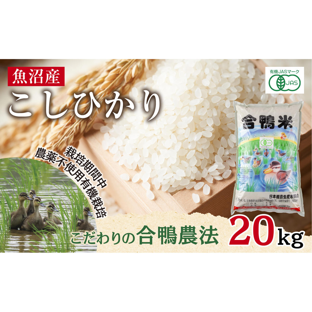 Y RVqJ 20kg _@ L@͔|       ׂ Ђ A lC S   V \sV\s127000āEp