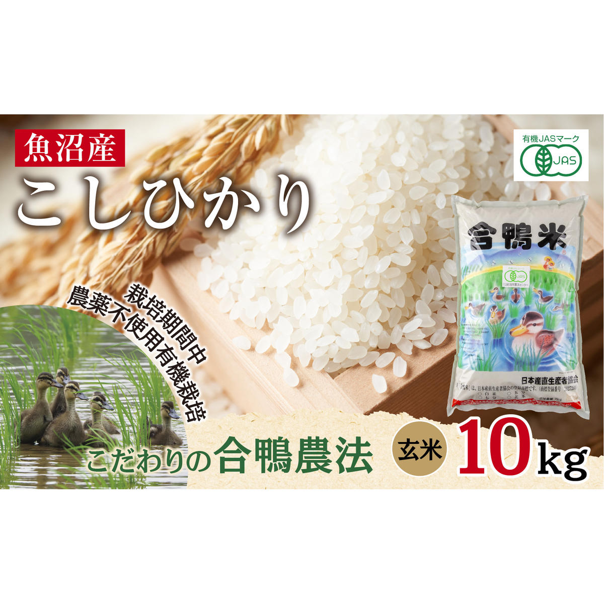 魚沼産 コシヒカリ 10kg あいがも農法 有機栽培米 玄米 米 お米 ご飯 胚芽 合鴨 ごんべい こしひかり 特A 人気 安全 お取り寄せ  新潟県 十日町市新潟県十日町市66000米・パン白米