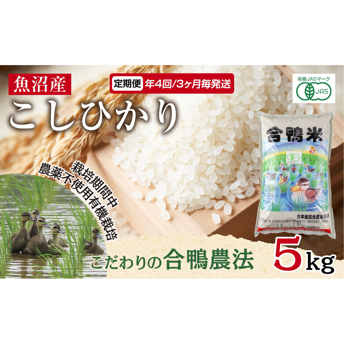定期便 年4回 3か月毎 魚沼産 コシヒカリ 5kg あいがも農法 有機栽培米 精米 米 お米 ご飯 白米 合鴨 ごんべい こしひかり 特A 人気 安全 お取り寄せ  新潟県 十日町市 新潟県十日町市127000米・