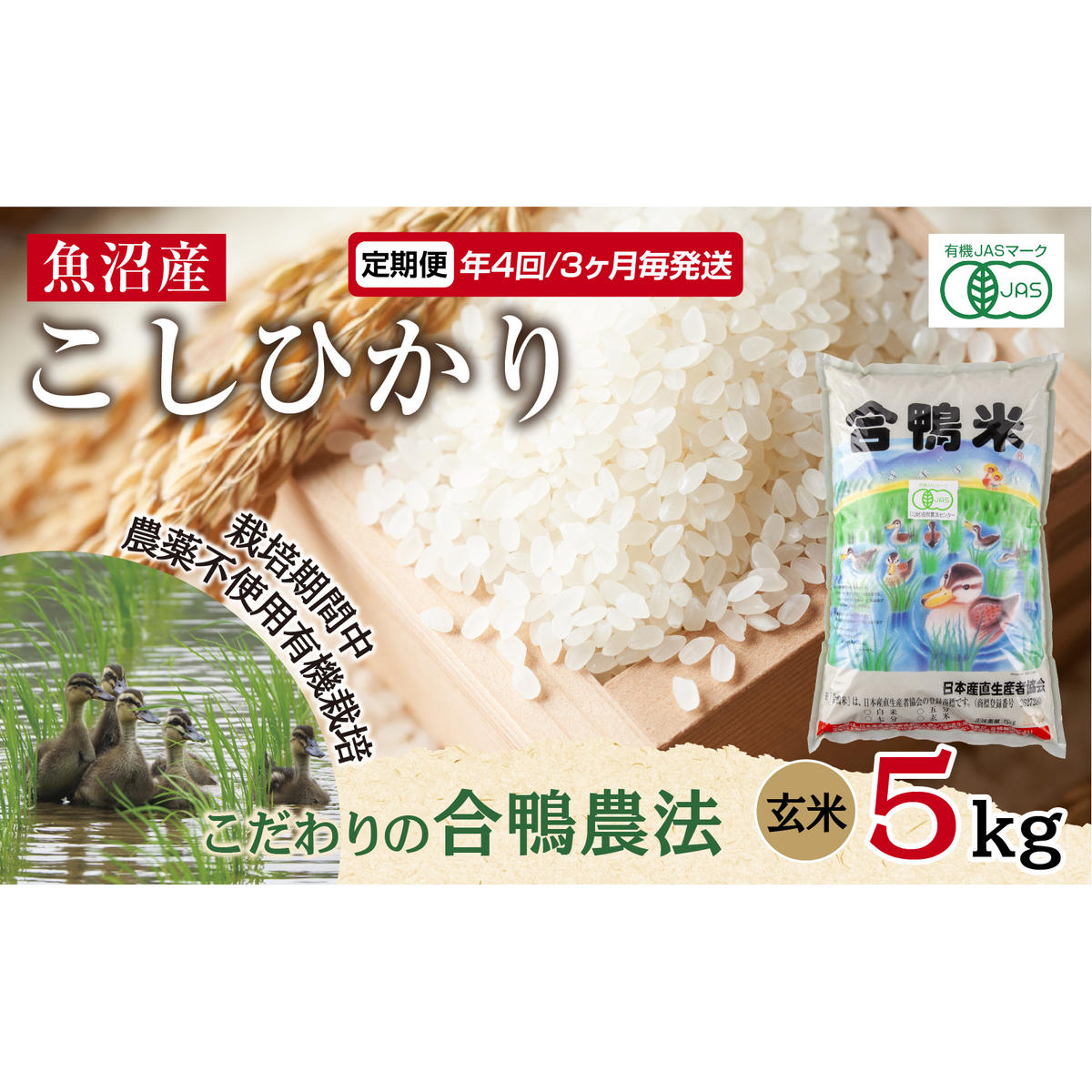  N4 3 Y RVqJ 5kg _@ L@͔|        ׂ Ђ A lC S   V \s V\s127000āE
