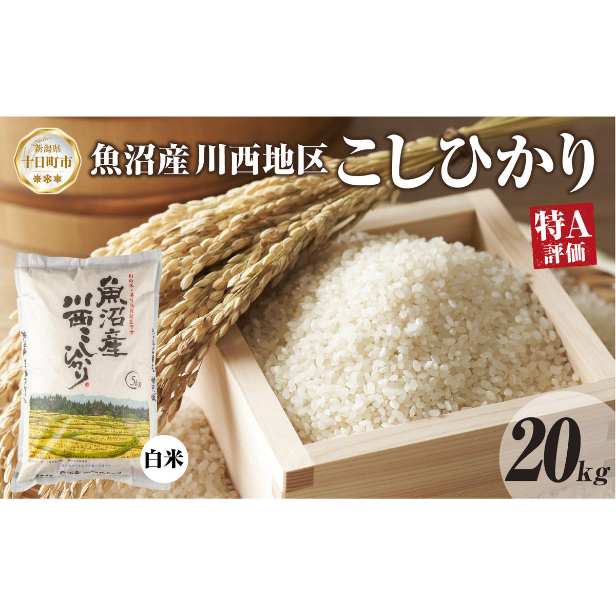 魚沼産 川西 こしひかり 20kg 精米 米 コメ お米 ごはん ご飯 白米 おにぎり 炊き立て ブランド米 コシヒカリ 新潟県産 魚沼 人気 国産 産地直送 お取り寄せ  新潟県 十日町新潟県十日町市62000