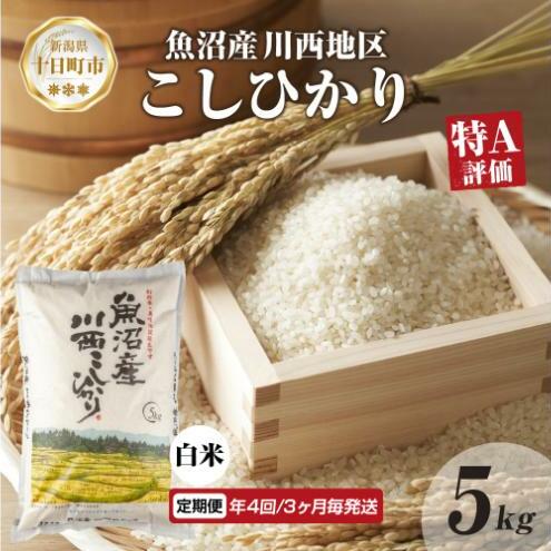 定期便 年4回3ヵ月毎 魚沼産 川西 こしひかり 5kg 精米 米 コメ お米 ごはん ご飯 白米 炊き立て ブランド米 コシヒカリ 魚沼 人気 国産 産地直送 お取り寄せ  新潟県 十日町新潟県十日町市68000
