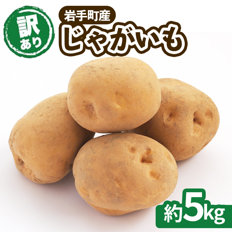 【訳アリ】岩手町産の旬野菜(じゃがいも)約5kg ジャガイモ 男爵いも メークイン 北あかり 品種 ランダム お任せ ポテト 芋 イモ いも 訳あり 家庭用 規格外 不揃い 産地直送  岩手県 岩手