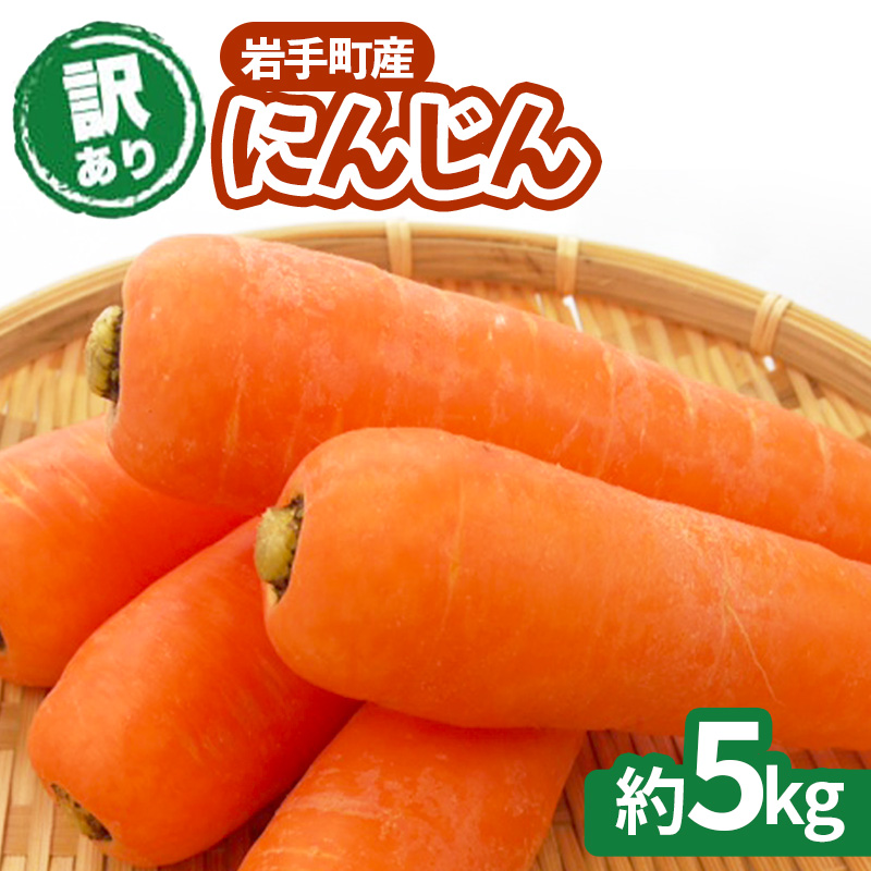 【訳アリ】岩手町産の旬野菜(にんじん)約5kg ニンジン 人参 大容量 5kg  ワケアリ 訳あり 家庭用 規格外 不揃い 産地直送  岩手県 岩手町岩手県岩手町10000野菜・きのこその他 野菜